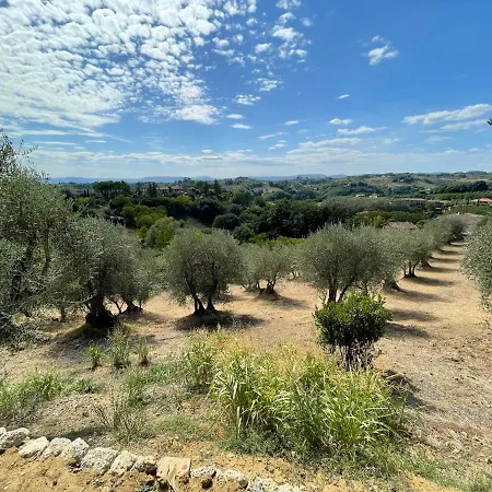 Oliveta Del Con Grande Giardino 500mt Dal Centro Hébergement de vacances *