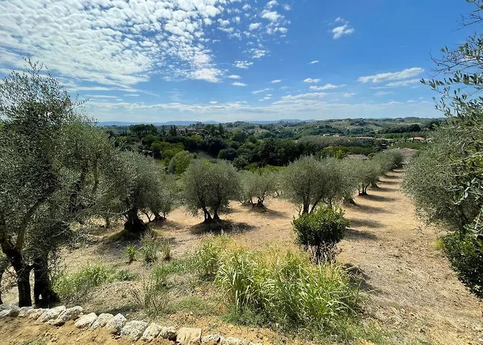Oliveta Del Con Grande Giardino 500mt Dal Centro Dom wakacyjny *