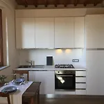Σπίτι διακοπών Oliveta Del Con Grande Giardino 500mt Dal Centro *